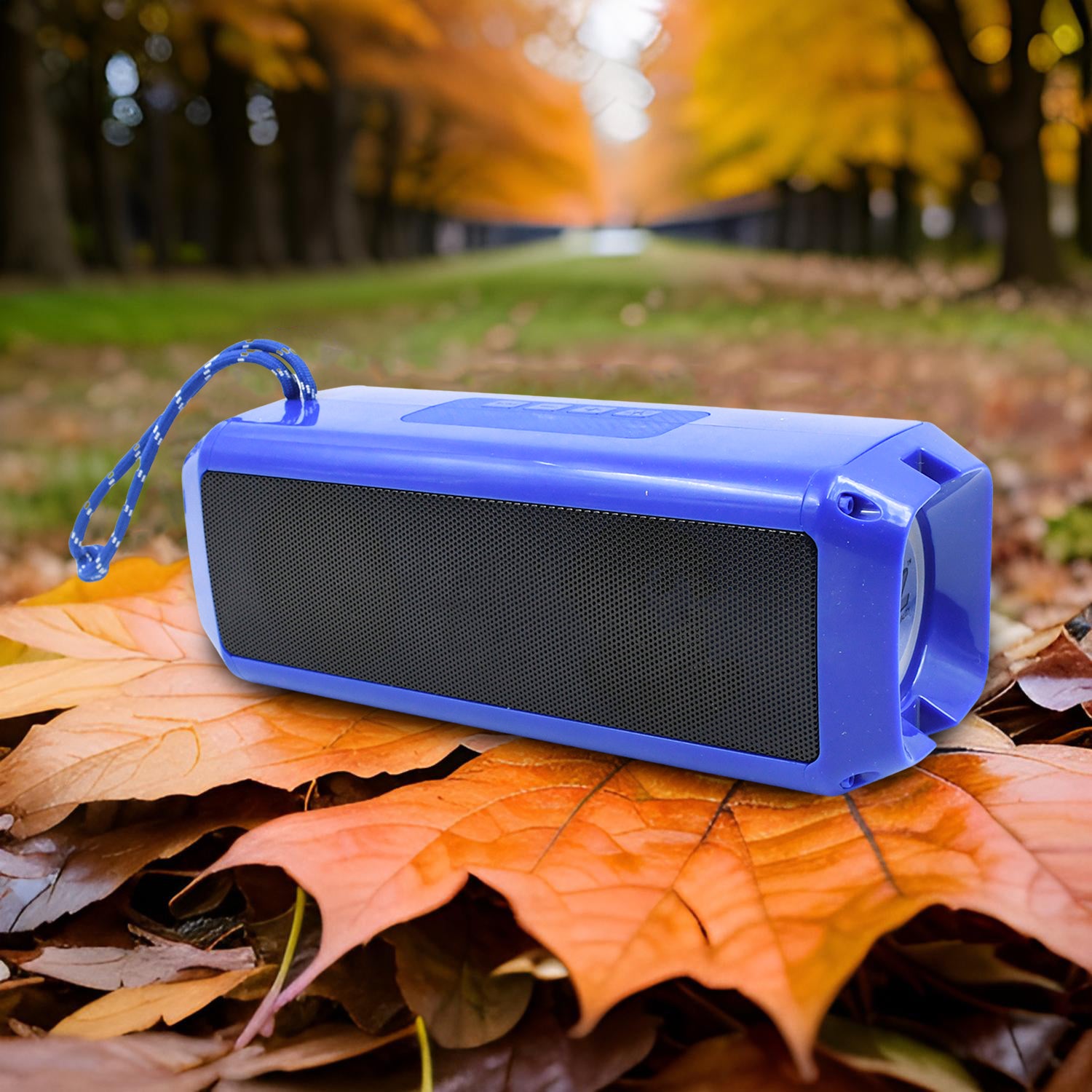 Portable Wireless Rechargeable Bluetooth Speaker (1 Pc)